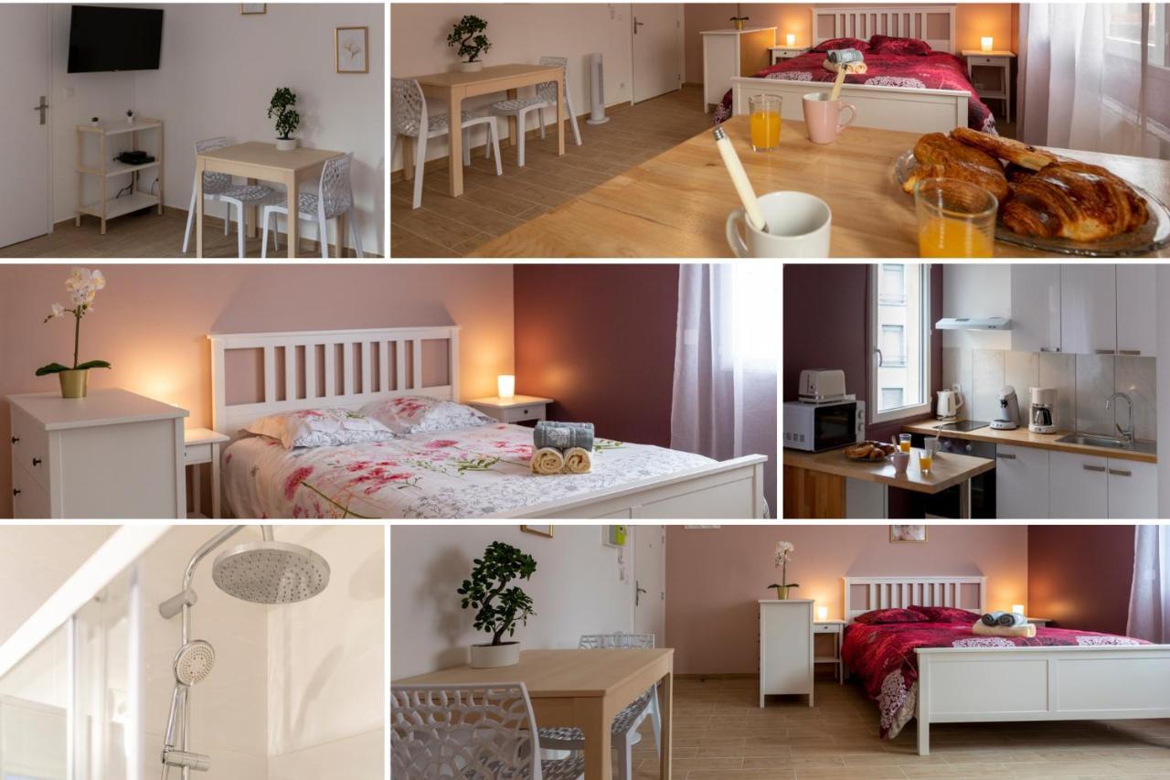 Loc Trotteur Le Pivoine Studio Grand Confort, Gare Sncf De Lourdes Esterno foto