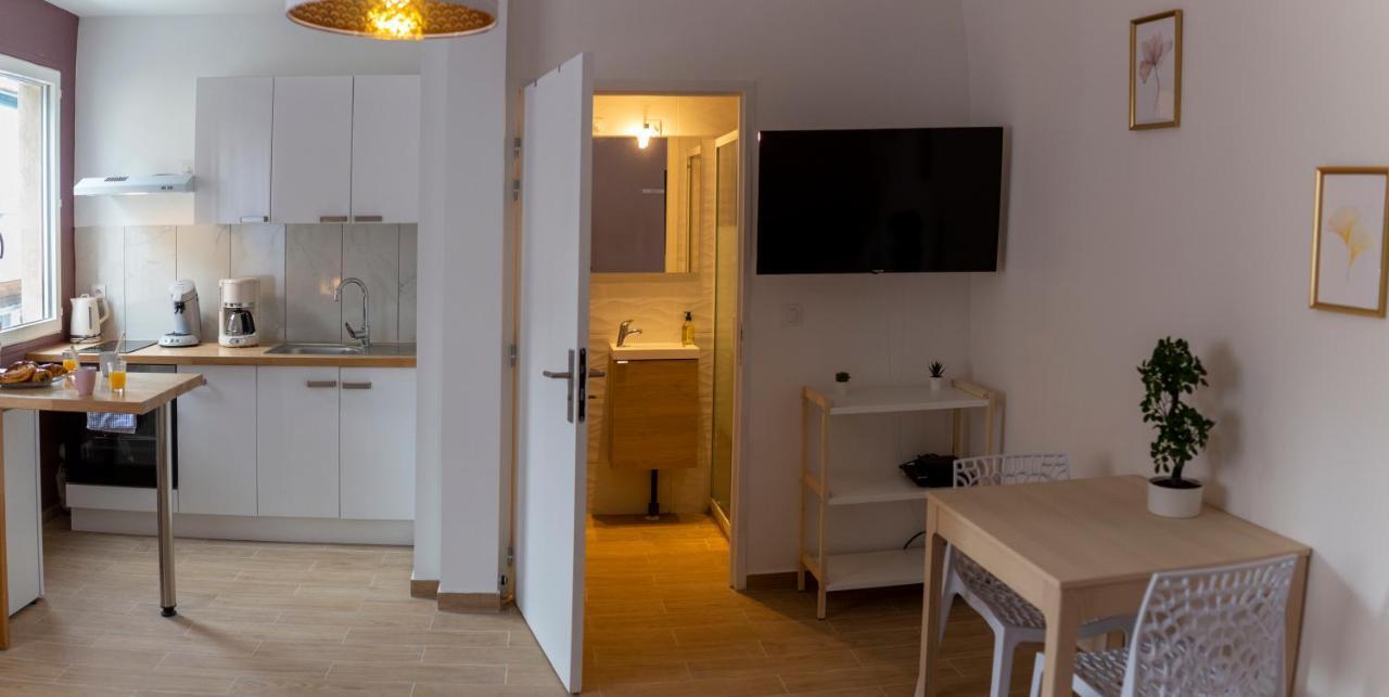 Loc Trotteur Le Pivoine Studio Grand Confort, Gare Sncf De Lourdes Esterno foto